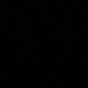 Meet your Posher, Evelyn